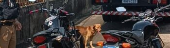 Motos furtadas na Favela do Brás em Foz do Iguaçu